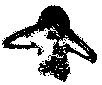 Skelett 183