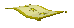 Teppich02