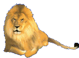 Tiere192