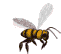 Tiere219