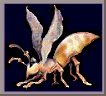 Tiere228