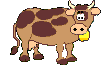 Tiere236