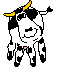 Tiere237