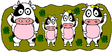 Tiere246