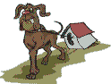Tiere347
