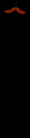 Verschiedenes0175
