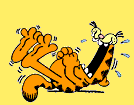 Garfield6