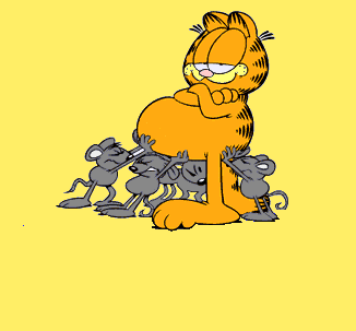 Garfield17