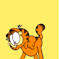 Garfield19