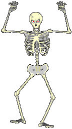 Skelett 097