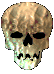 Skelett 098