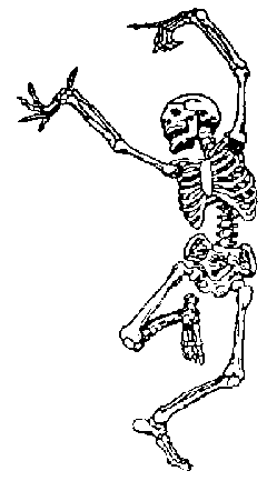 Skelett 100